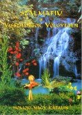 Homoki Nagy Katalin - Szalmafiú a Visszhangok völgyében