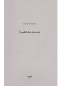 Villám Judit - Nagykőrösi tájszótár