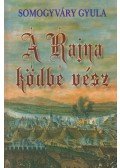 Somogyváry Gyula - A Rajna ködbe vész