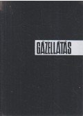 Vida Miklós dr.,Meszléry Celesztin - Gázellátás