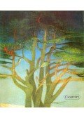 Németh Lajos - Csontváry