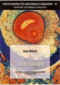 Sass Miklós - A köztakaró