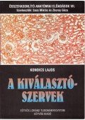 Kondics Lajos - A kiválasztószervek