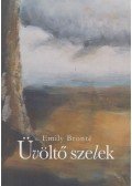 Emily Brontë - Üvöltő szelek