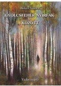 Békés Sándor - Gyolcsfehér nyírfák között