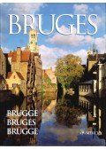 Vincent Merckx - A Portrait of Bruges