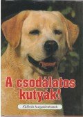 Veress István - A csodálatos kutyák!
