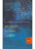 Daniel Glattauer - Gyógyír északi szélre