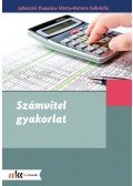 JUHÁSZNÉ KOPPÁNY MÁRTA , KATONA GABRIELLA - Számvitel gyakorlat