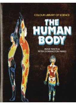Irene Fekete, Peter Dorrington Ward - The Human Body Irene Fekete, Peter Dorrington Ward - The Human Body, 1984 antikvár könyv