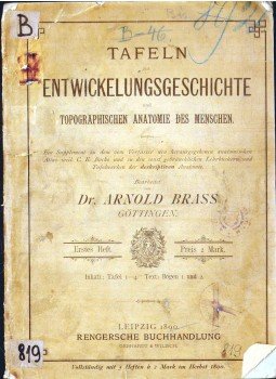 Arnold Brass - Tafeln zur Entwickelungsgeschichte und topographischen Anatomie des Menschen, Lipcse 1890 antikvár könyv