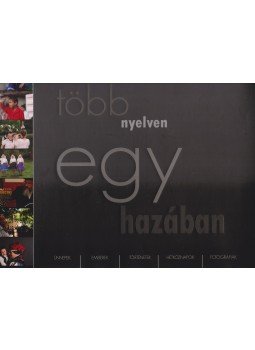Horváth György, BORSOS MIHÁLY - Több nyelven egy hazában Horváth György, BORSOS MIHÁLY - Több nyelven egy hazában, Budapest 2010 antikvár könyv