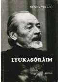 Mészöly Dezső - Lyukasóráim