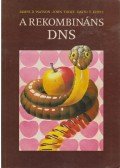 Watson, James D.,Tooze, John,Kurtz, David T. - A rekombináns DNS