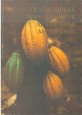 Borsódy Mihály - Emléktöredékek, tanulmányok az édesipar múltjából (dedikált)