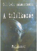 Adamesteanu, Gabriela - A találkozás
