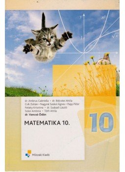 Vancsó Ödön - Matematika 10., Budapest 2010 antikvár könyv