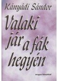 Kányádi Sándor - Valaki jár a fák hegyén (dedikált)