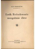 Ehrenburg, Ilja - Lasik Roitschwantz mozgalmas élete