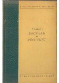 Gustave Flaubert - Bouvard és Pécuchet
