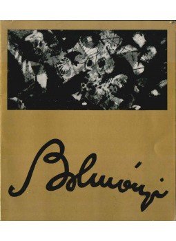 Németh Lajos - Bolmányi Ferenc festőművész kiállítása,  1966 antikvár könyv
