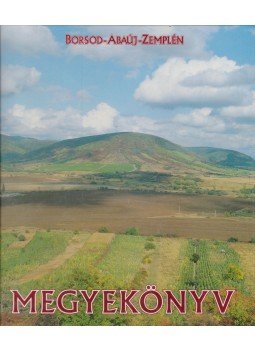 Vida Gyula - Megyekönyv - Borsod-Abaúj-Zemplén, Miskolc 1994 antikvár könyv