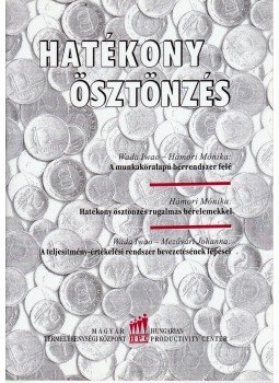  - Hatékony ösztönzés,  1999 antikvár könyv