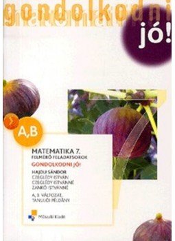 HAJDU SÁNDOR - Matematika 7., null 2013 antikvár könyv