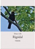 Kónya Lilla - Rigódal - versek ÜKH 2017