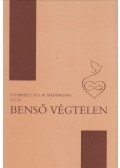 Maddalena,P. Gabriele Di S. M. - Benső végtelen