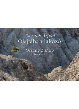 Csernák Árpád, Ország László - Olajfában lakozó - ÜKH 2017 Csernák Árpád, Ország László - Olajfában lakozó - ÜKH 2017, null 2017 antikvár könyv