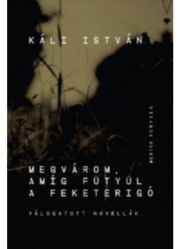 Káli István - Megvárom, amíg fütyül a feketerigó - ÜKH 2017, null 2017 antikvár könyv