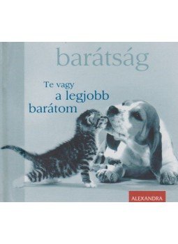 Chiara Doran - Te vagy a legjobb barátom Chiara Doran - Te vagy a legjobb barátom, Pécs 2011 antikvár könyv