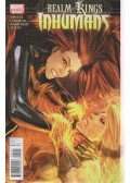 Dan Abnett,Lanning, Andy,Raimondi, Pablo,Seeley, Tim - Realm of Kings Inhumans No. 5.