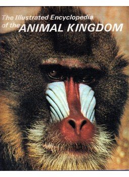 Herbert Kondo - The illustrated encyclopedia of the Animal Kingdom,  1971 antikvár könyv