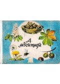 Irene Geiling - A gesztenyefa
