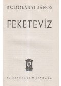 Kodolányi János - Fekete víz