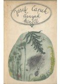 Karel Capek - Árnyak között