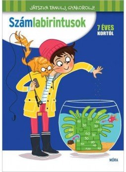 Wilfrid Payet - Számlabirintusok Wilfrid Payet - Számlabirintusok, Budapest 2017 antikvár könyv