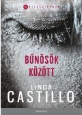 Linda Castillo - Bűnösök között