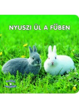 69368 - NYUSZI ÜL A FűBEN - KEDVENC MONDÓKÁIM 69368 - NYUSZI ÜL A FűBEN - KEDVENC MONDÓKÁIM, null 2011 antikvár könyv