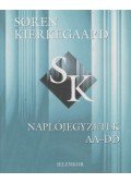 Kierkegaard, Sören - Naplójegyzetek AA-DD