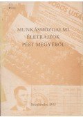 Kende János,Szerényi Imre - Munkásmozgalmi életrajzok Pest megyéből