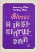 Fogarassy Miklós,Kamarás István - Olvasó a labirintusban (dedikált)