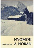 St. John, Patricia M. - Nyomok a hóban