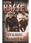 Sven Hassel - Gyalogoshadosztály