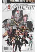 David, Peter,Raimondi, Pablo - X-Factor No. 23.