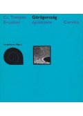 Cs. Tompos Erzsébet - Görögország építészete