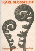 Burkhard Riemschneider - Karl Blossfeldt (30 Postcards)