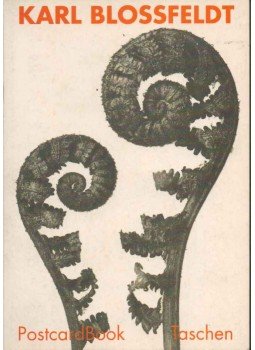 Burkhard Riemschneider - Karl Blossfeldt (30 Postcards) Burkhard Riemschneider - Karl Blossfeldt (30 Postcards), 1993 antikvár könyv